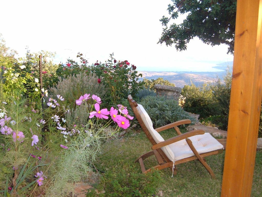 Rose Garden - Gan Vradim Villa Amirim Ngoại thất bức ảnh